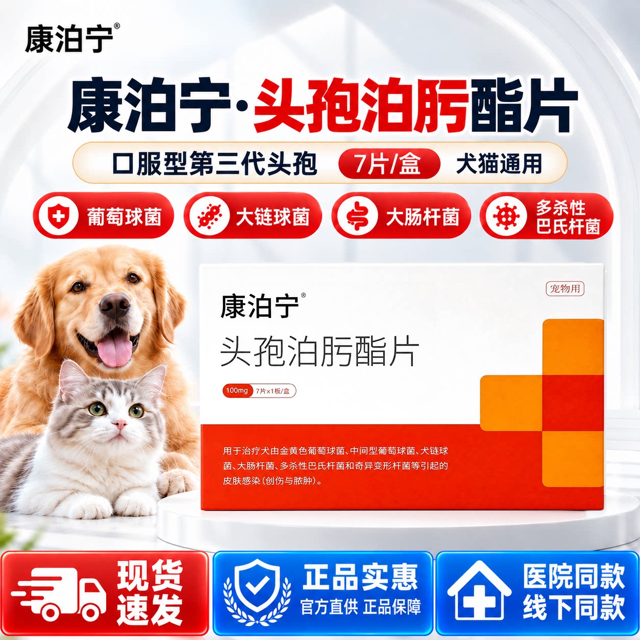 康泊宁头孢泊肟酯宠物狗猫抗菌消炎药皮肤病泌尿呼吸道创伤感染药