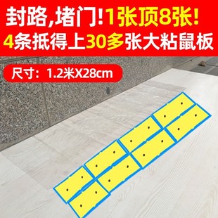 克星家用大号灭黏室 强力粘鼠板抓粘大老鼠双面胶捕鼠老鼠神器克