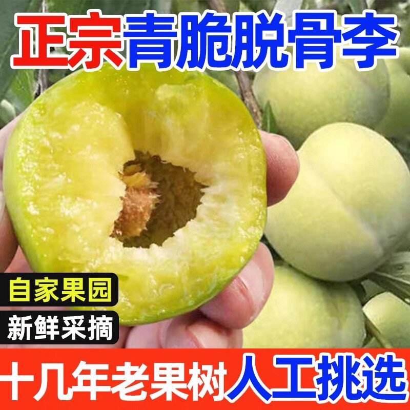 四川李子巫山脆李青脆李脱骨李新鲜水果孕妇应季时令空心整箱现摘