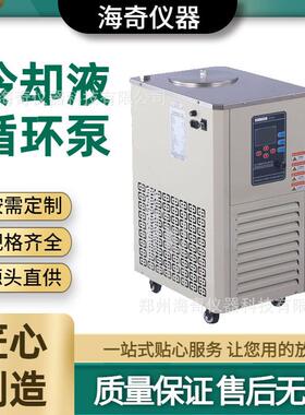 低温冷却液循环泵可调流量20-35L/min化工合成精准控温