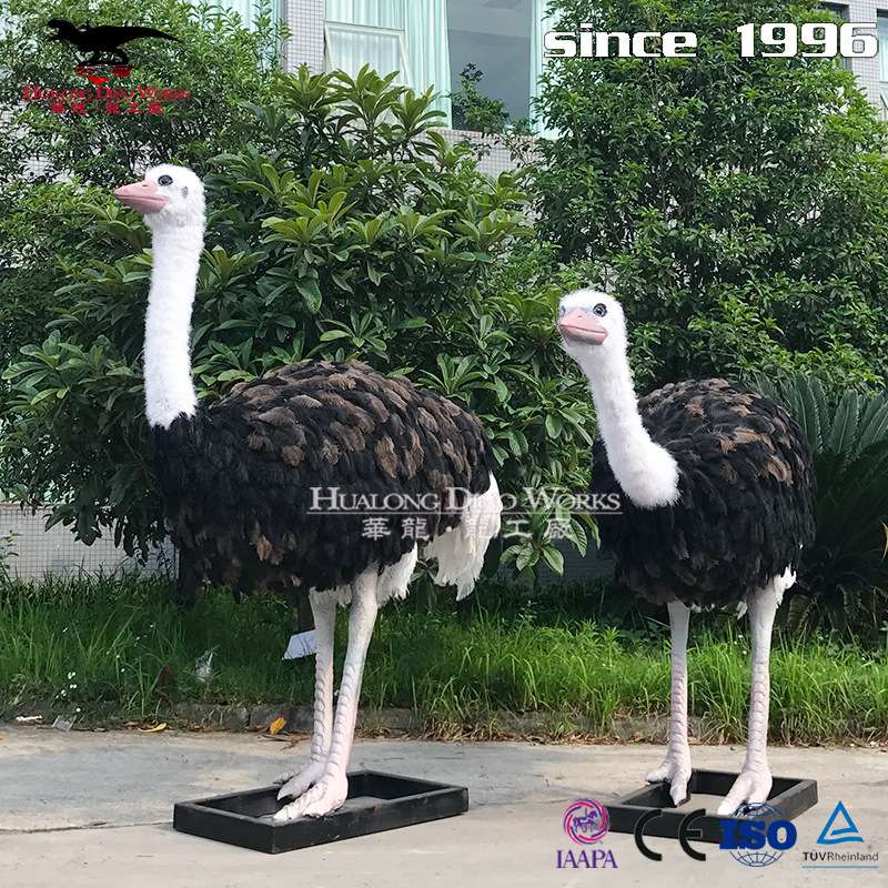 自贡大型仿真动物工厂 鸵鸟塑性逼真 亲子乐园动物园互动模型摆件