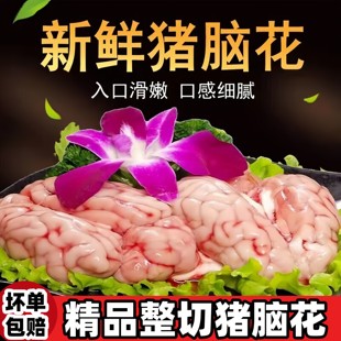 猪脑花猪脑猪脑子新鲜批发冷冻精品脑髓脑花商用批发火锅烧烤食材