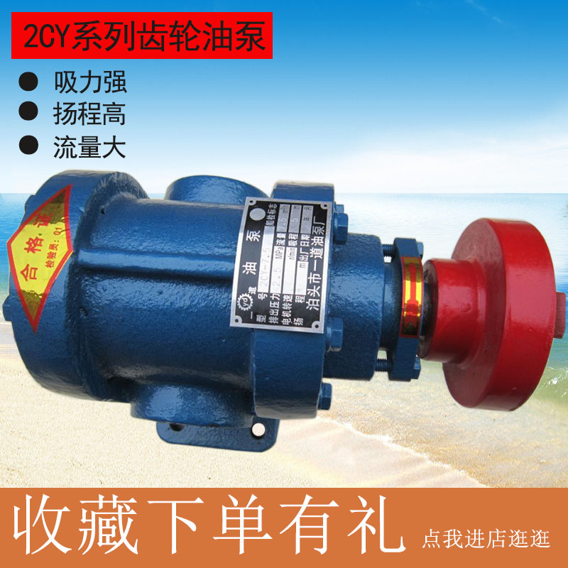 2cy1.08/2.1/3/4.2/7.5/12高压齿轮油泵电动增压抽油液压输送泵头