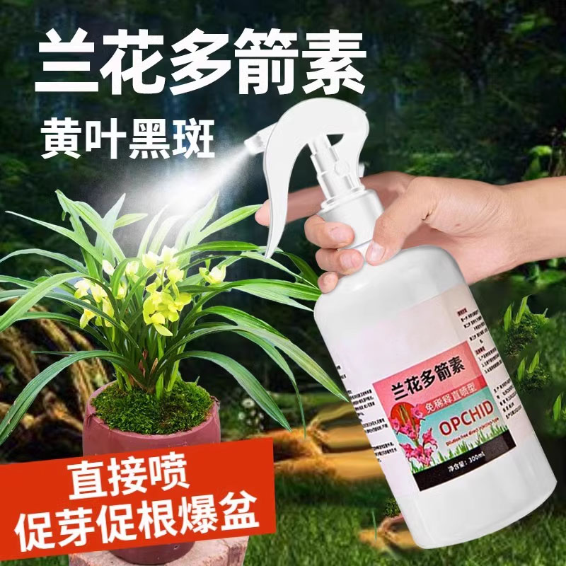 兰花多箭素爆芽素专用营养液