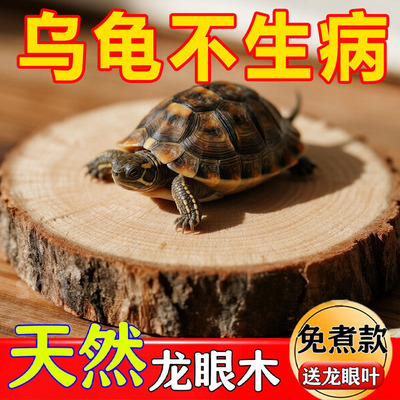乌龟专用造景缸龙眼木晒台
