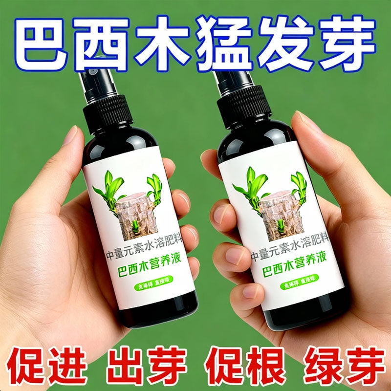 水培巴西木营养液免稀释专用的营养液幸运木开花八西木专用营养液,鲜花速递/花卉仿真/绿植园艺,家庭园艺肥料,淘宝优惠券,粉丝福利购,淘宝优惠卷