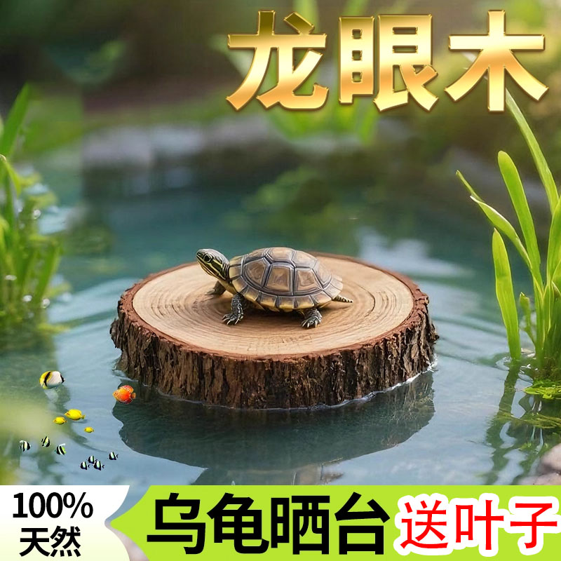 乌龟专用造景缸绿色水草绿植