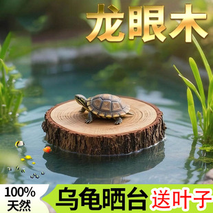 乌龟专用造景缸龙眼木晒台爬坡躲避窝浮萍真水草绿植造景摆件用品