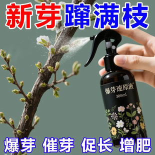 爆芽素原液多肉催芽分化活力素盆栽植物三角梅月季通用生根营养液