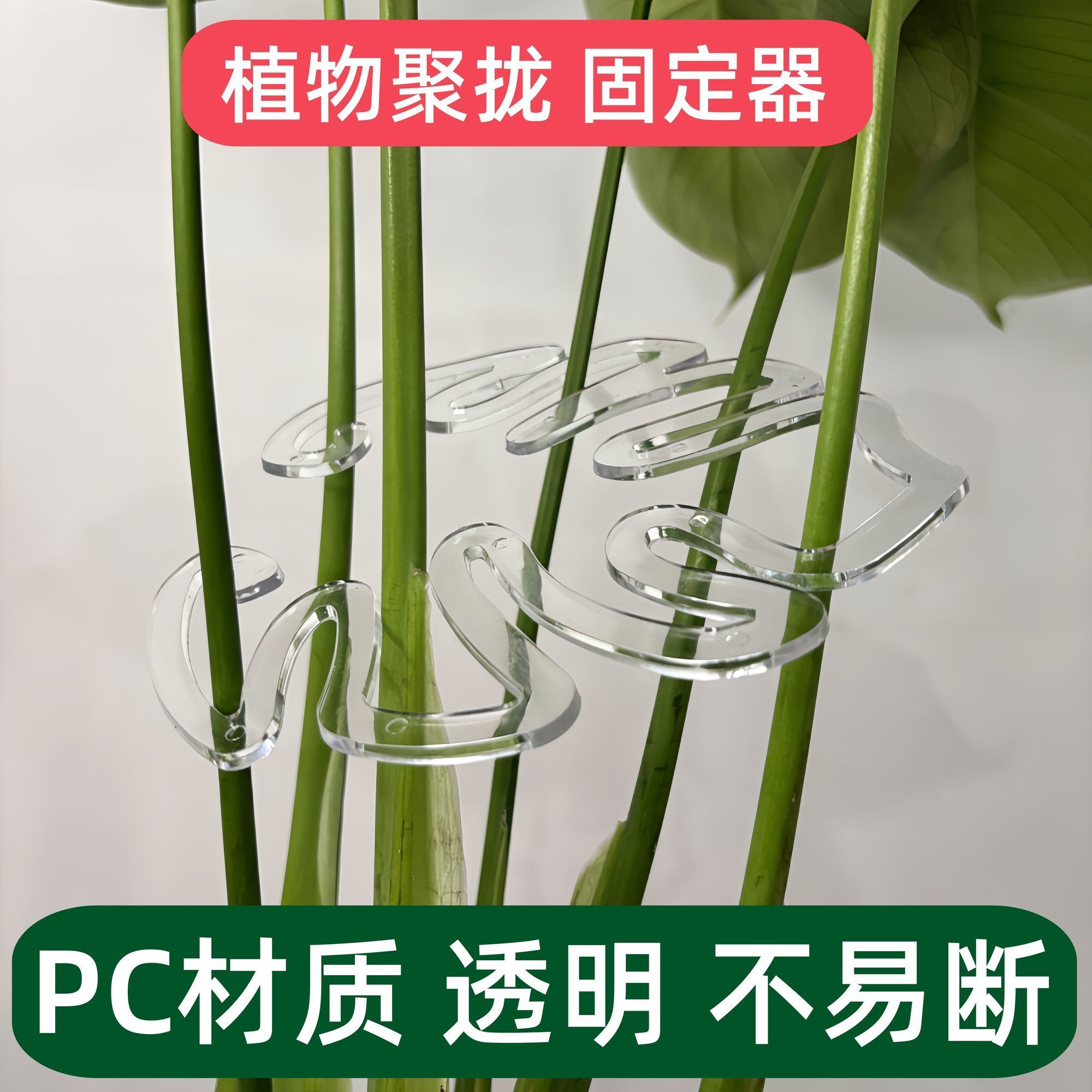 龟背竹定型支撑杆支撑架枝干收拢架植物防倒伏支架绿植固定器花架