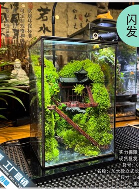 苔藓沉木微景观雨林缸生态瓶造景几何玻璃花房创意植物盆景长方形