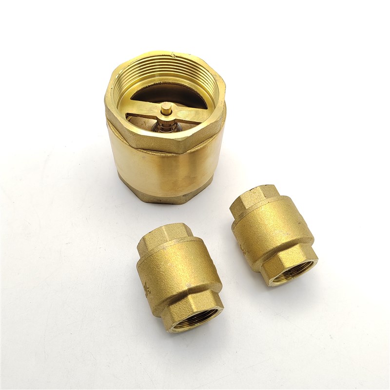 立式止回阀全铜加厚水泵水管水表止逆阀弹簧单向阀4分6分1寸