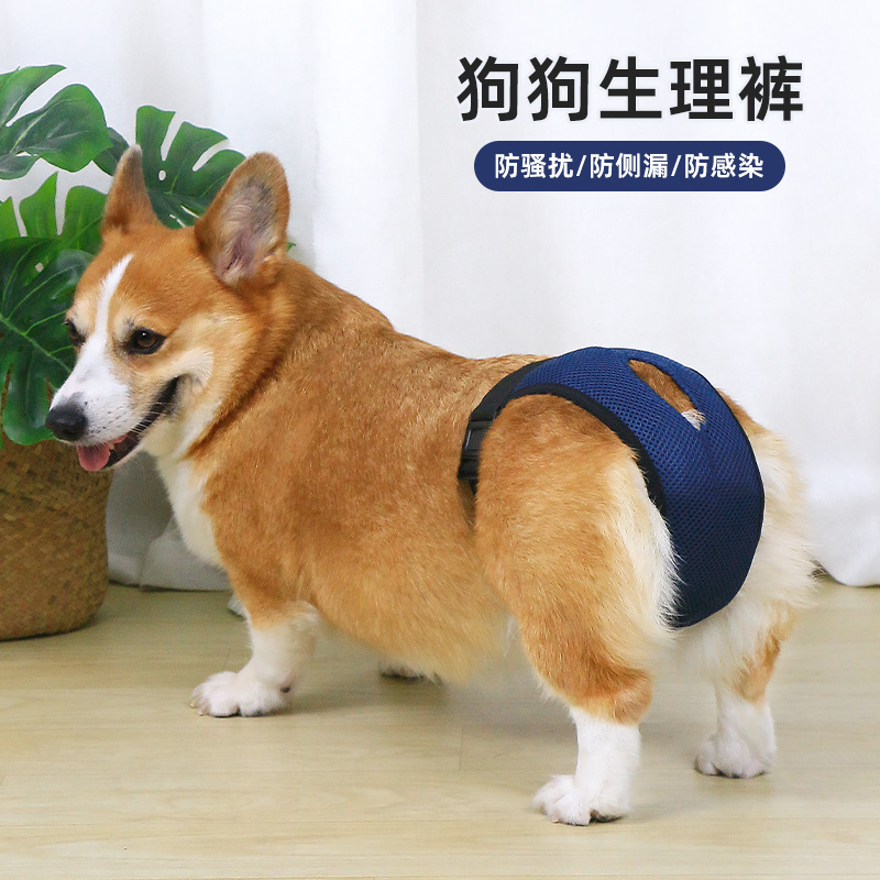 宠物狗狗生理裤姨妈裤母狗专用宠物内裤经期防脱防交配生理裤避孕