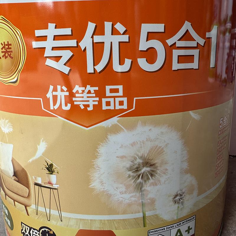 立邦金装专优五合一内墙漆家装乳胶漆防霉易擦洗涂料优等品墙面漆