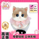 情人节礼物品牌原创纯手绘仿生胖猫捏捏送女朋友闺蜜生日纪念品