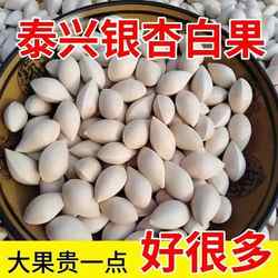 泰兴白果银杏果带壳新鲜特大生白果农家不漂泊干货百果2-5斤包邮