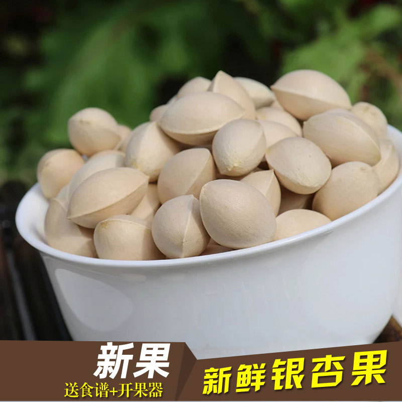 25年新鲜白果 银杏果 无漂白邳州农家特产包邮中秋礼品