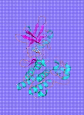 分子对接，docking，结合模式分析，自由能计算