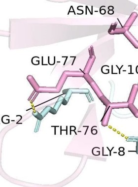 分子动力学模拟DFT MS poster studio带教程文件出图
