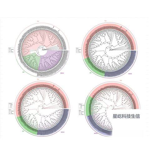 2-8geo数据挖掘单细胞测序分析网络药理