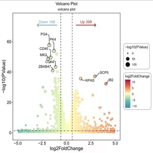 生物信息学课程分析 GEPIA数据分析 免疫妥妥上5分零基础入门GEO