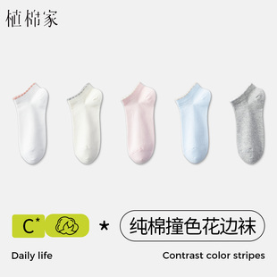 植棉家花边袜子女夏季薄款纯棉短袜抗菌防臭吸汗透气短款女生船袜