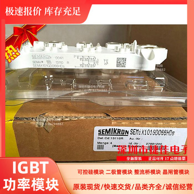 SeMix101GD066HDS SeMix101GD123HDS