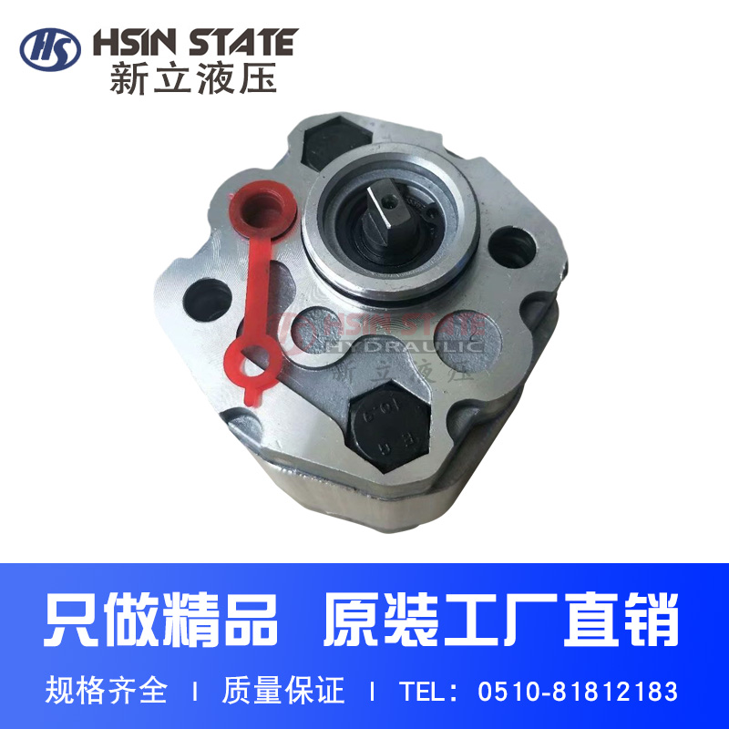 齿轮泵CBD-F207.8/204.8/201.3/201.6/202.1/202.7/203.2L1B-BA