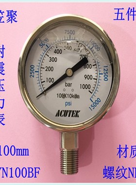 ACUTEK 原装出口 高压型不锈钢耐震压力表YN100BF 1000BAR NPT1/2
