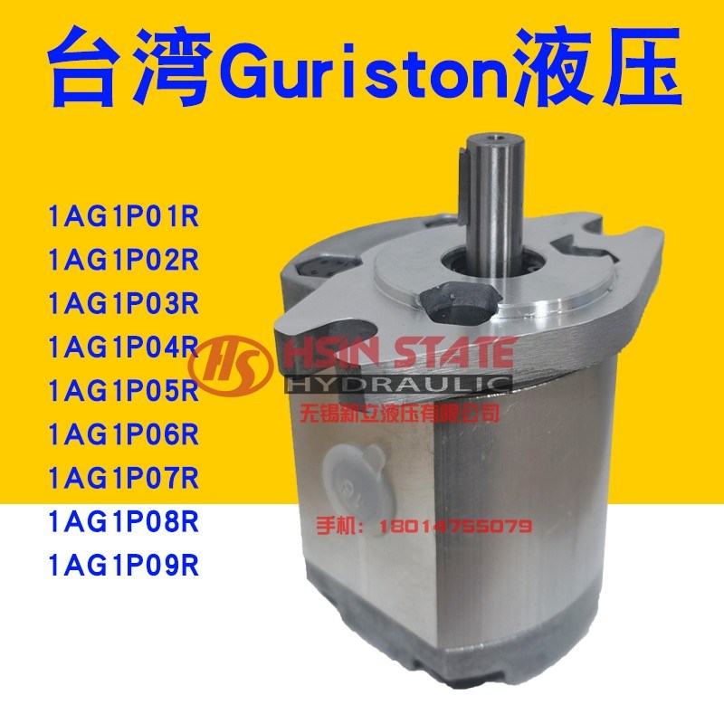 齿轮泵1AG1P09R/P02R/P03R/P04R/P05R/P06R/P07R/P08R/P01R油泵