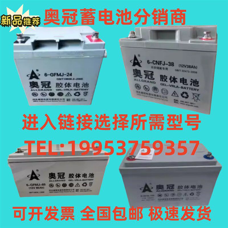 奥冠胶体蓄电池6-GFMJ/12V65A24A38A65A100A120A消防/机房UPS/EPS