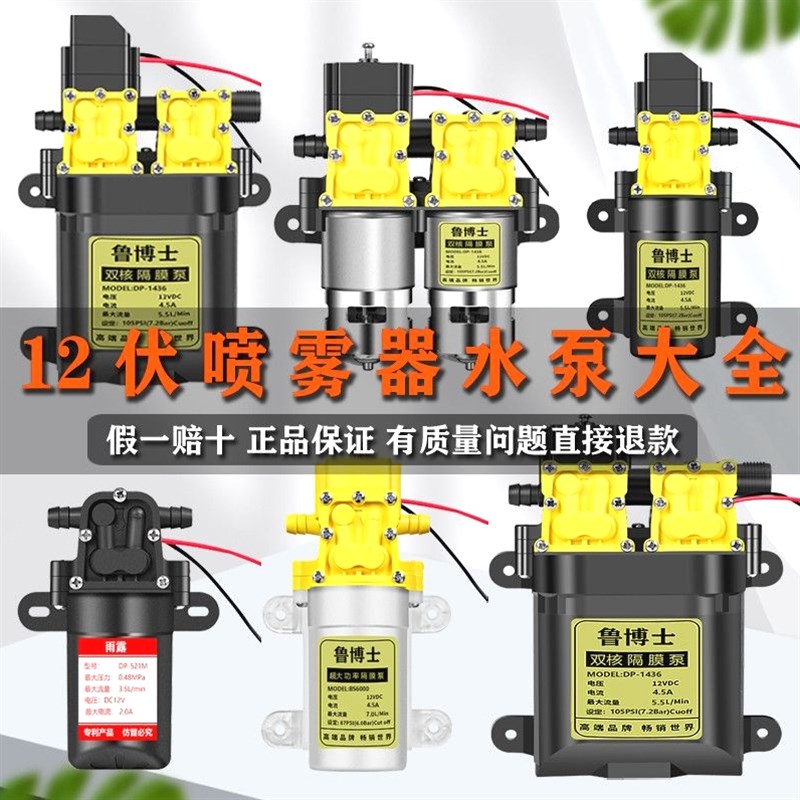 德国进口12v水泵双核泵通用农用高压电动喷雾器大功率水泵电机打