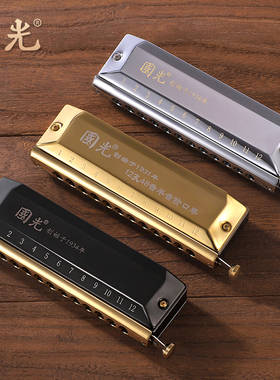 半音阶12孔48音16孔64z音成人专业演奏级国之梦学生初学者