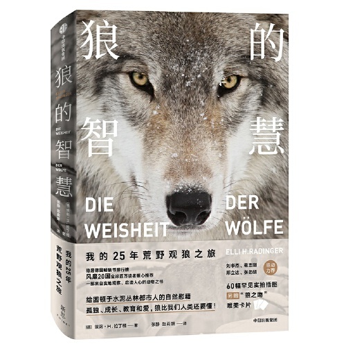 正版图书】狼的智慧埃莉H拉丁格中信出版社9787521712308