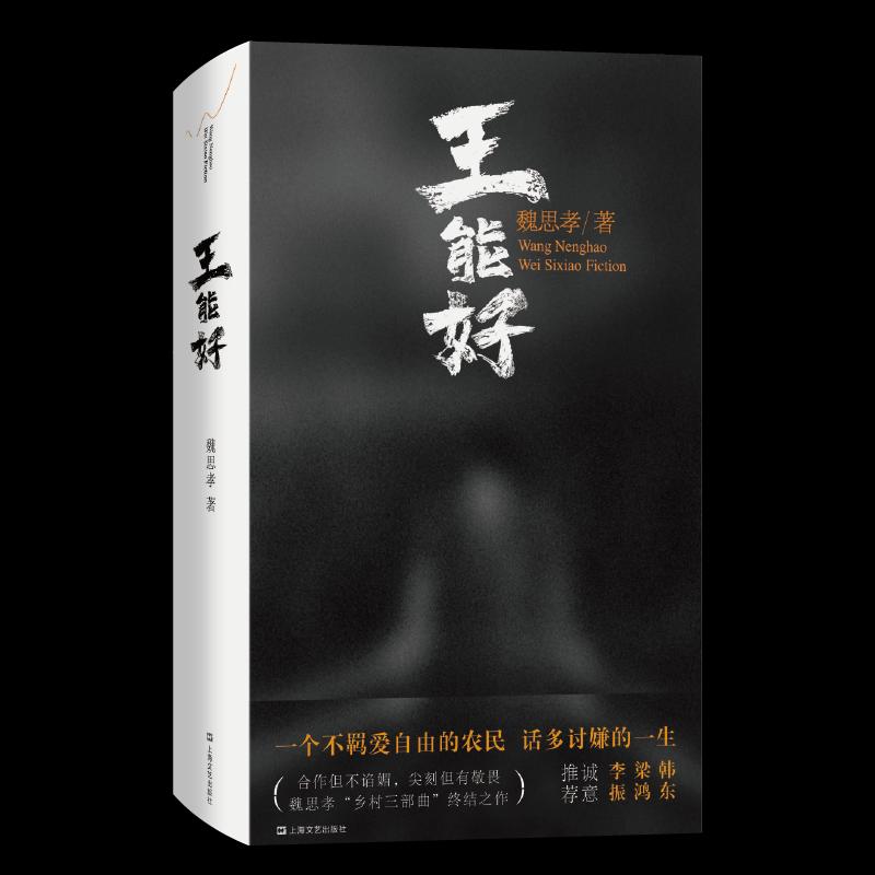 【正版图书】王能好魏思孝上海文艺出版社9787532180653