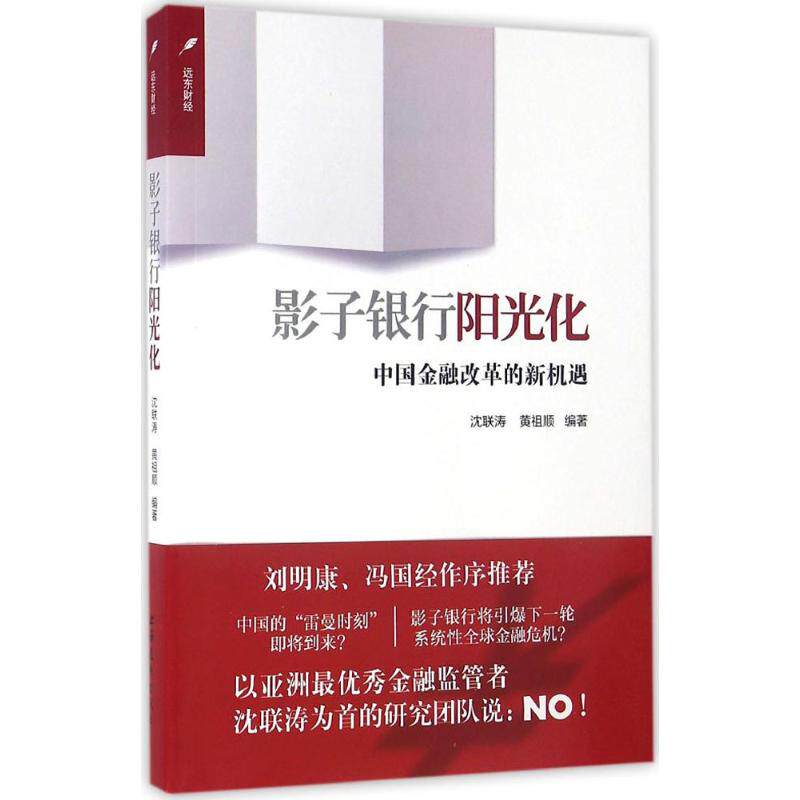 【正版图书】影子银行阳光化中国金融改革的新机遇沈联涛黄祖顺著上海远东出版社9787547610824