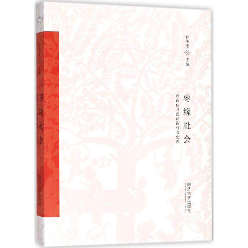 【保正版】枣缘社会陕西佳县泥河沟村文化志孙庆忠编同济大学出版社9787560871387