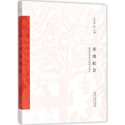 【保正版】枣缘社会陕西佳县泥河沟村文化志孙庆忠编同济大学出版社9787560871387
