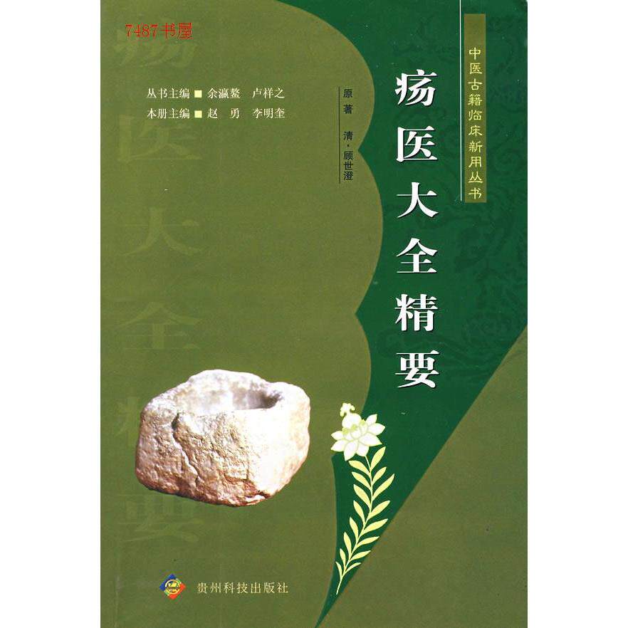【正版书籍】疡医大全精要李明奎主赵勇贵州科技出版社9787806625293