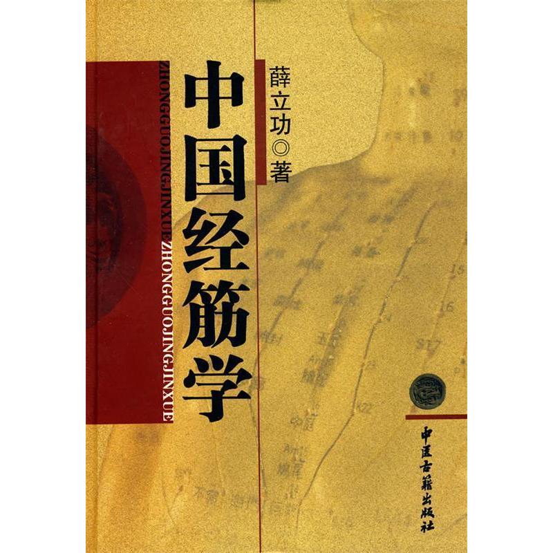 【正版书籍】中国经筋学薛立功著中医古籍出版社