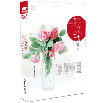 【保正版】纸玫瑰林笛儿山东画报出版社9787547410318