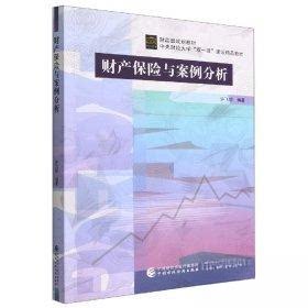 【保正版】财产保险与案例分析许飞琼中国财政经济出版社9787522316949