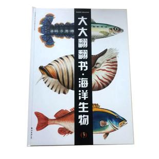 【保正版】全脑智能训练书海洋生物大大翻翻书比贝托热尔韦著郑朋娜译南海出版公司9787544272698