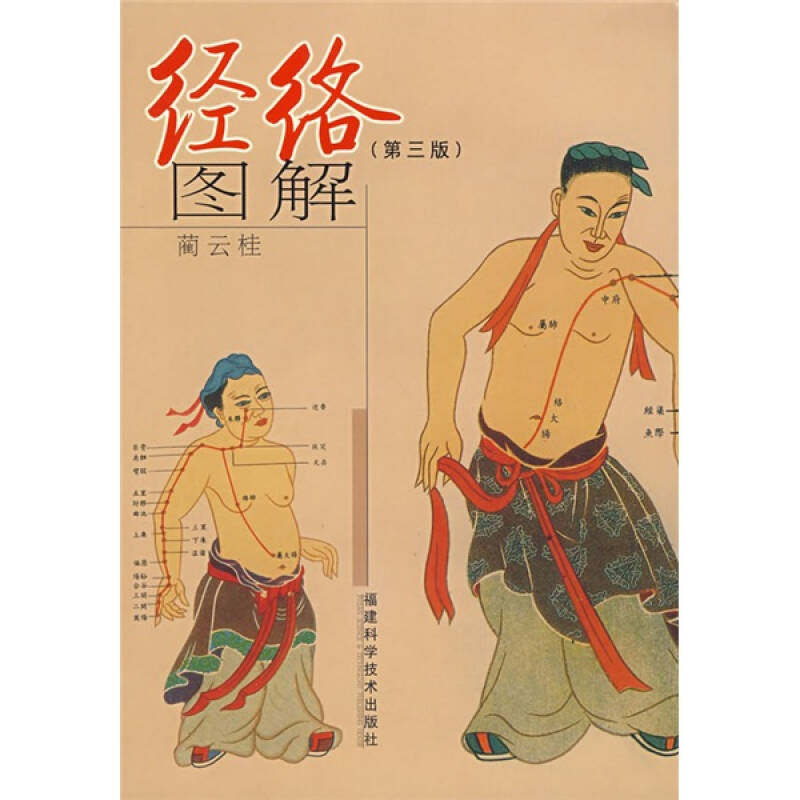 【正版书籍】经络图解蔺云桂著福建科学技术出版社