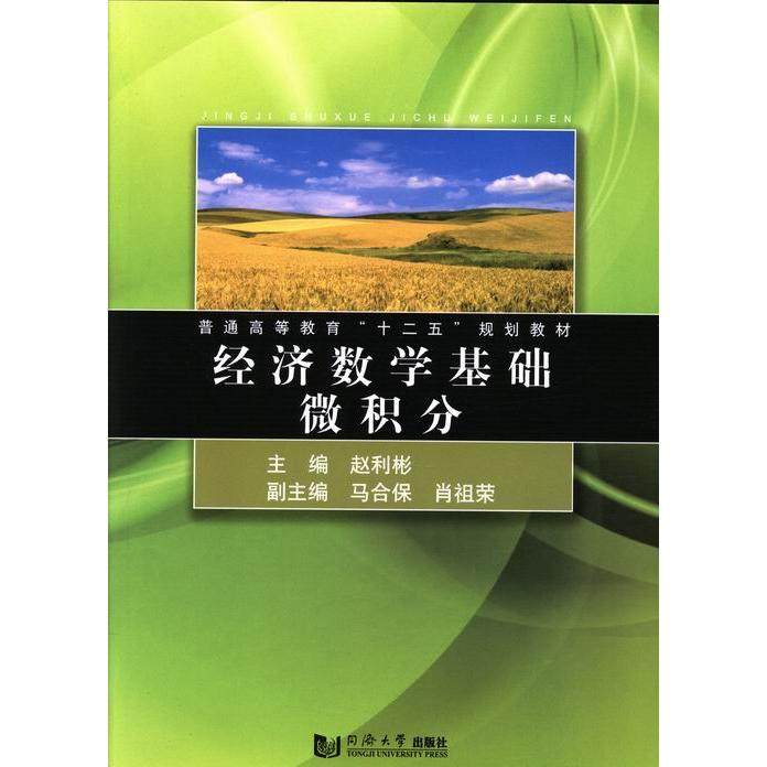 【正版书籍】经济数学基础微积分普通高等教育十二五规划教材赵利彬马合何肖祖荣同济大学出版社
