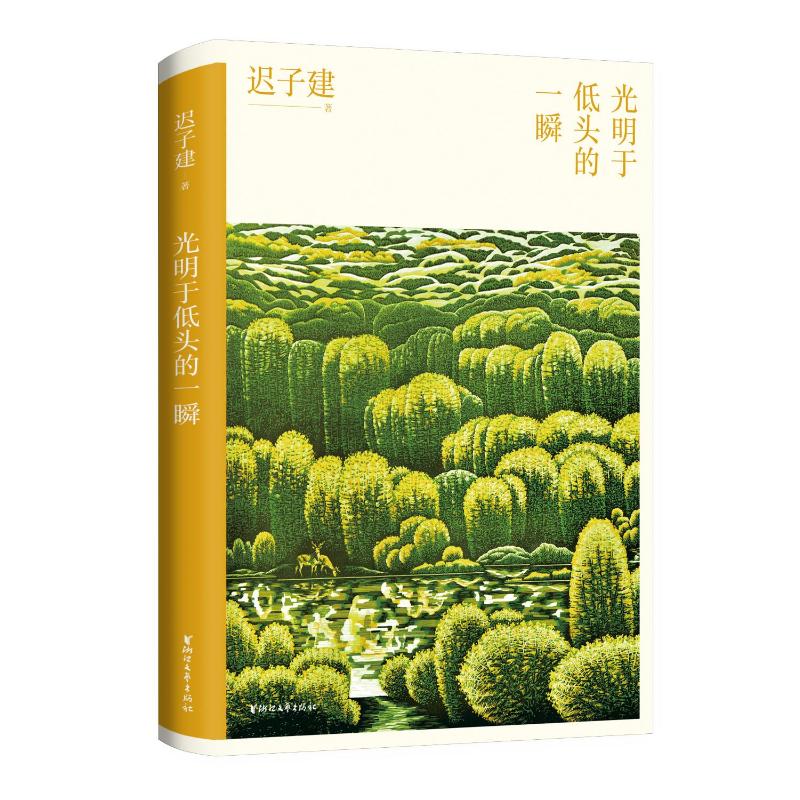 【正版图书】光明于低头的一瞬迟子建浙江文艺出版社9787533966713