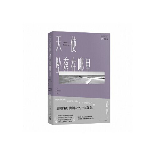 【正版图书】路内追随三部曲之天使坠落在哪里路内著人民文学出版社9787020153756