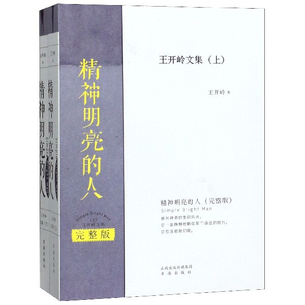 【正版图书】精神明亮的人王开岭文集完整版王开岭著山西人民出版社9787557100254