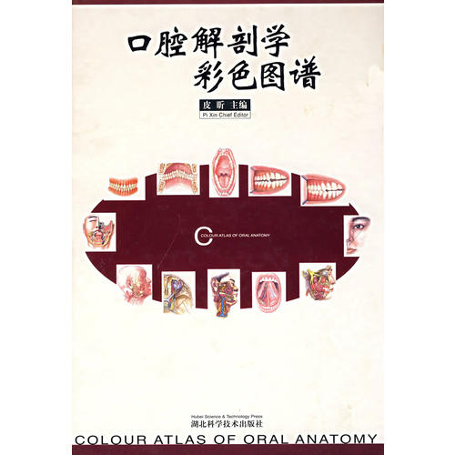【正版书籍】口腔解剖学彩色图谱皮昕主湖北科学技术出版社