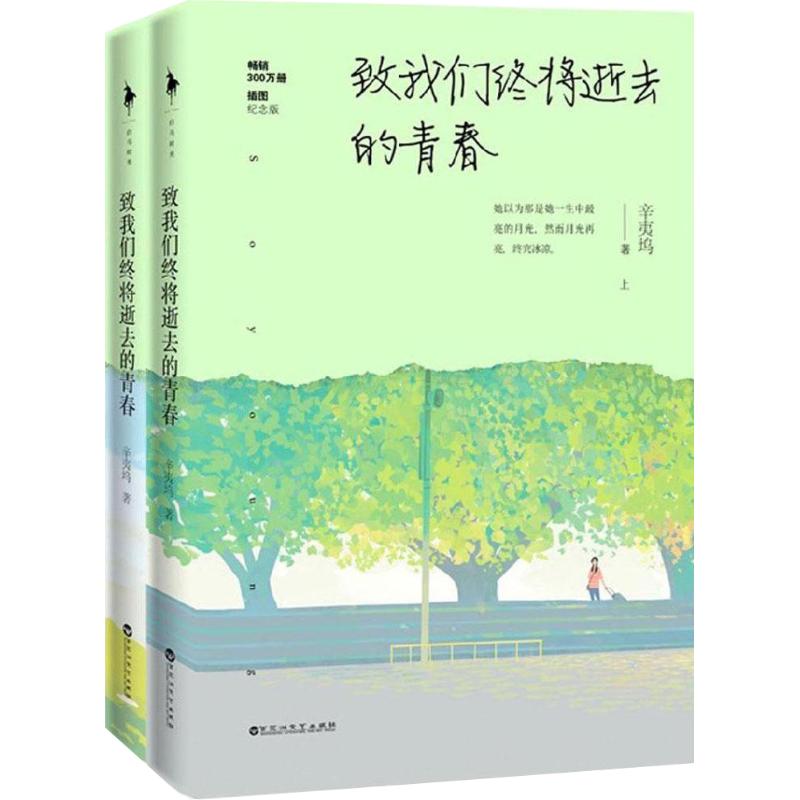 【正版图书】致我们终将逝去的青春插图纪念版辛夷坞百花洲文艺出版社9787550017313